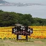 Nokonoshima Island Park