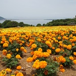 Nokonoshima Island Park