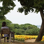 Nokonoshima Island Park