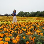 Nokonoshima Island Park