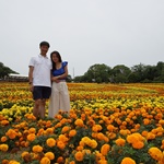 Nokonoshima Island Park