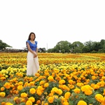 Nokonoshima Island Park