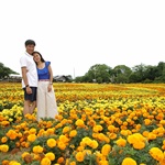 Nokonoshima Island Park