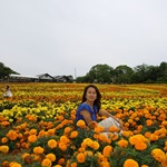 Nokonoshima Island Park