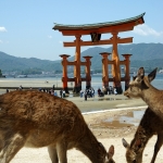 Shinto Shrine