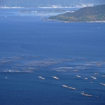 oyster farm