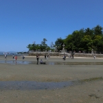 Shinto Shrine