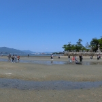 Shinto Shrine