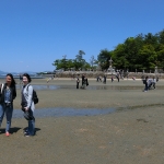 Shinto Shrine