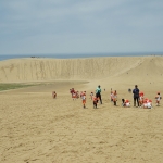 sand dunes