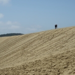 sand dunes