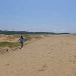 sand dunes