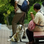 Senkoji Park