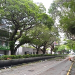 【山竹襲港】風災過後的彌敦道