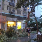 【山竹襲港】風災過後，德成街上的倒塌樹木