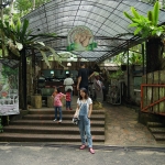 Monkey Cup Garden, Penang Hill