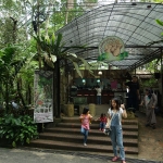 Monkey Cup Garden, Penang Hill