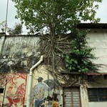 Mural Art Lane