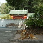 Hung Shing temple