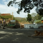 Hung Shing temple