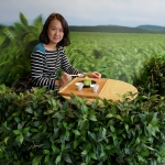 Osulloc Tea Museum