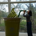 Osulloc Tea Museum