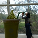 Osulloc Tea Museum