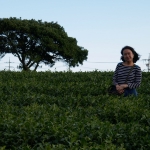 Osulloc Tea Museum