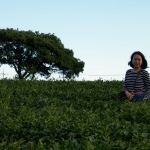 Osulloc Tea Museum