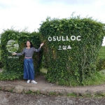 Osulloc Tea Museum