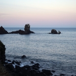 Sopjikogi