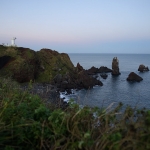 Sopjikogi