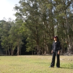 Shing Mun Reservoir