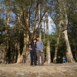 Shing Mun Reservoir