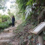 Shing Mun Reservoir