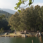 Shing Mun Reservoir