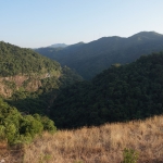 Shing Mun Reservoir