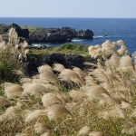 Cape Manzanmo