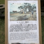 Zakimi Castle Ruins