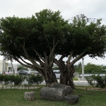 Zakimi Castle Ruins