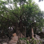 Daisekirinzan