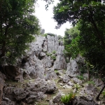 Daisekirinzan