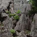 Daisekirinzan