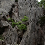 Daisekirinzan