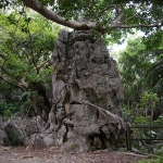 Daisekirinzan