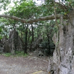 Daisekirinzan