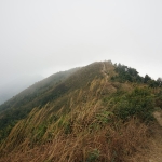 Tai To Yan