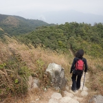 Tai To Yan