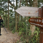 Tai To Yan