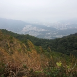 Tai To Yan